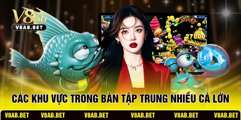 Các khu vực trong bàn tập trung nhiều cá lớn