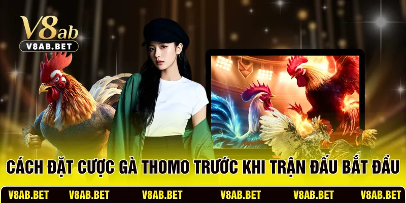 Cách đặt cược gà Thomo trước khi trận đấu bắt đầu