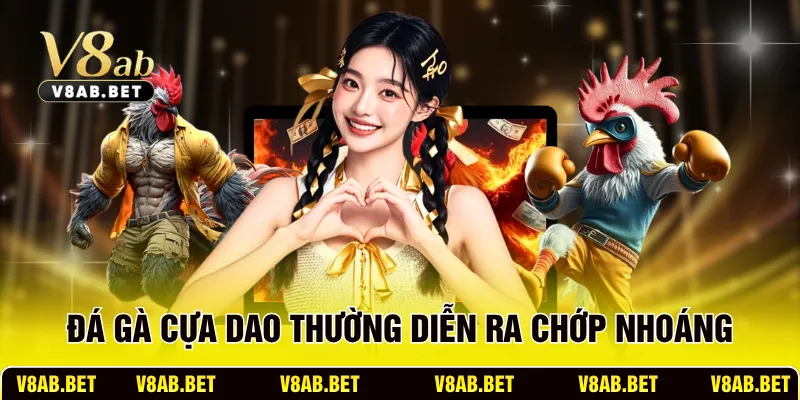 Đá gà cựa dao thường diễn ra chớp nhoáng