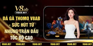 Đá Gà Thomo V8AB - Sức Hút Từ Những Trận Đấu Tốc Độ Cao