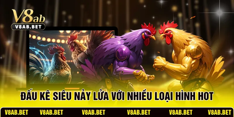 Đấu kê siêu nảy lửa với nhiều loại hình hot