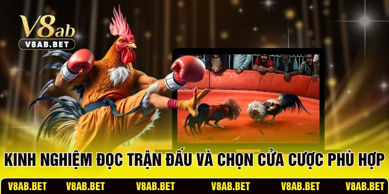 Kinh nghiệm đọc trận đấu và chọn cửa cược phù hợp