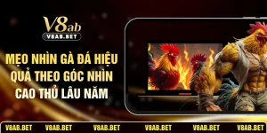 Mẹo Nhìn Gà Đá Hiệu Quả Theo Góc Nhìn Cao Thủ Lâu Năm