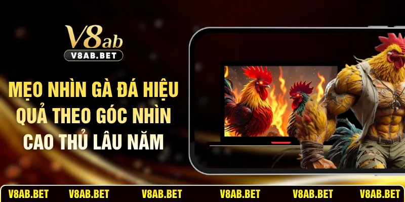 Mẹo Nhìn Gà Đá Hiệu Quả Theo Góc Nhìn Cao Thủ Lâu Năm