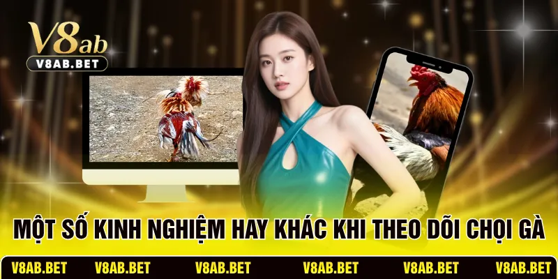 Một số kinh nghiệm hay khác khi theo dõi chọi gà