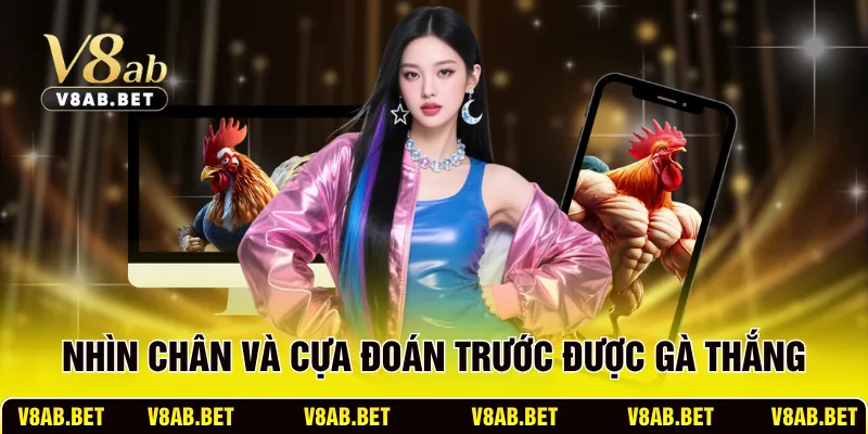 Nhìn chân và cựa đoán trước được gà thắng